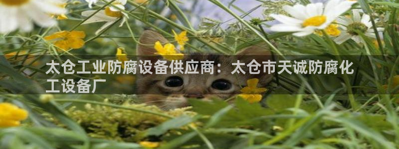 天辰平台解答 5o69I7