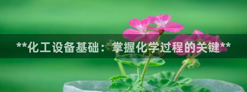 天辰平台测速登录失败怎么办