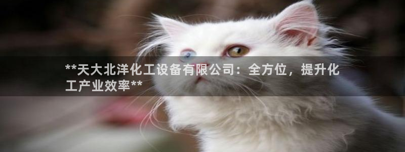 天辰平台用户注册网址