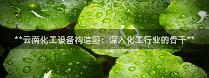 天辰平台招商1111怎么样啊