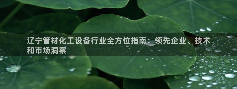 天辰娱乐注册于罚-46⒏99月台