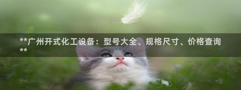 天辰平台测速登录不上