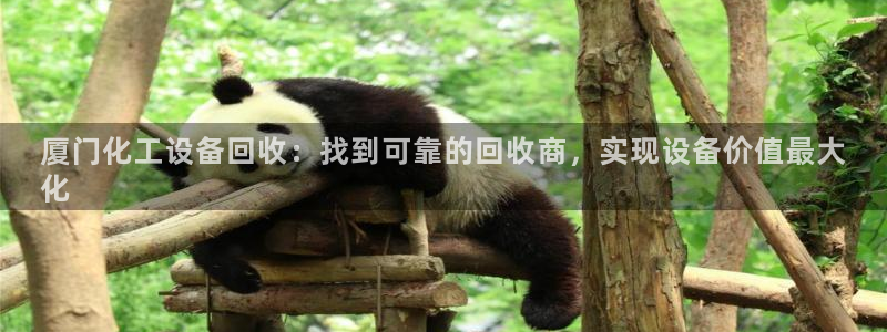 天辰平台用户登录失败