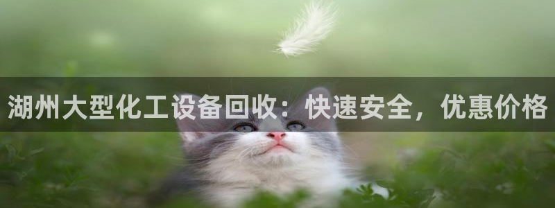 天辰娱乐厅破解规律透视辅助