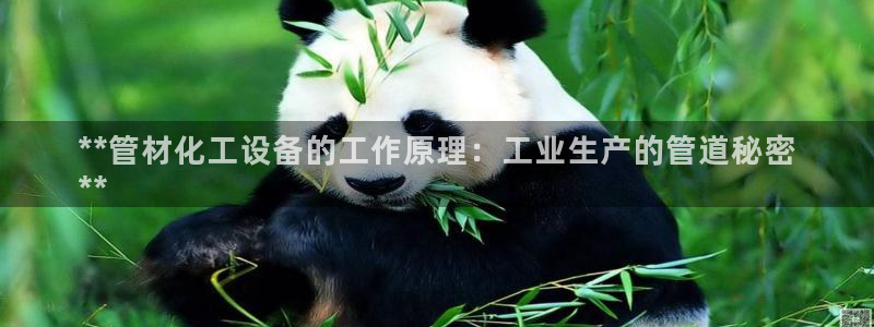 天辰平台用户