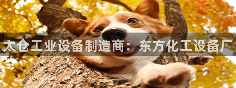 天辰平台网址大全