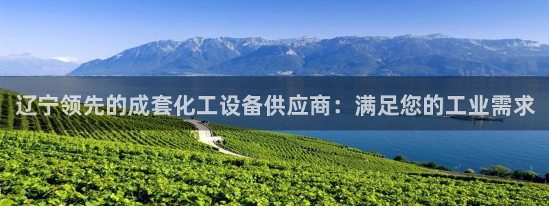 天辰平台用户登录不上