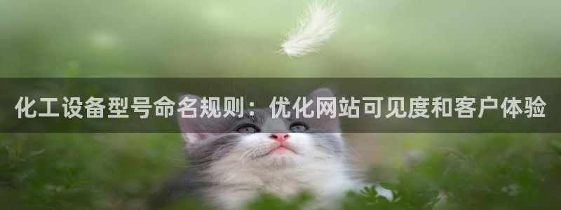 天辰平台登录地址在哪里