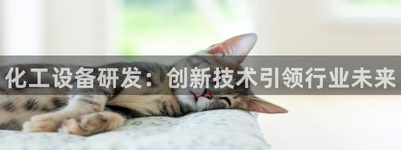 天辰平台怎么样赚钱的