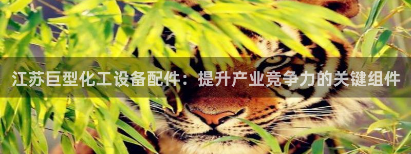 天辰娱乐平台账号注册地址是多少