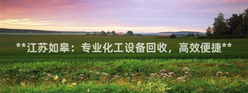 天辰平台测速登录不上怎么回事