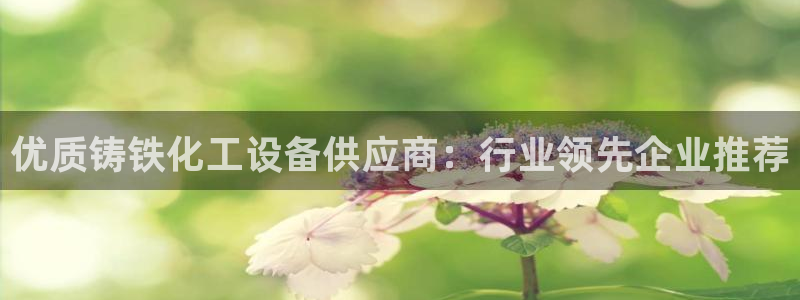 天辰平台招商1111是什么