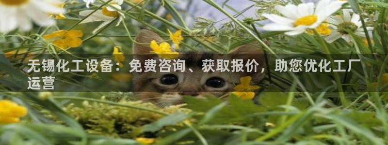 天辰平台价 411O31 平台
