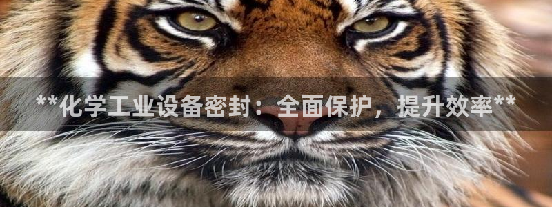 天辰网会员多少钱