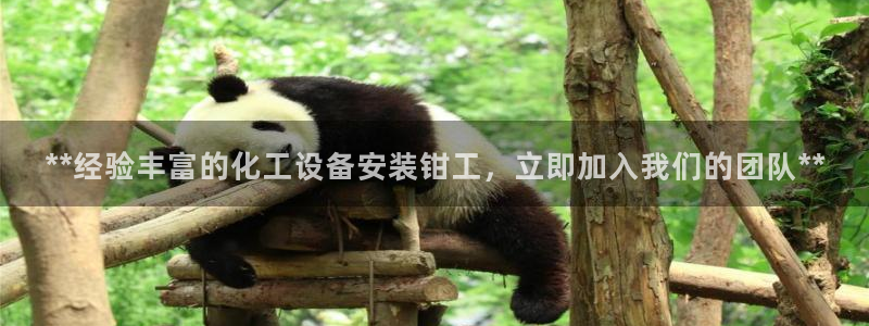 天辰平台雨 411o31 平台
