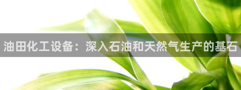 天辰平台用户登录不了怎么办