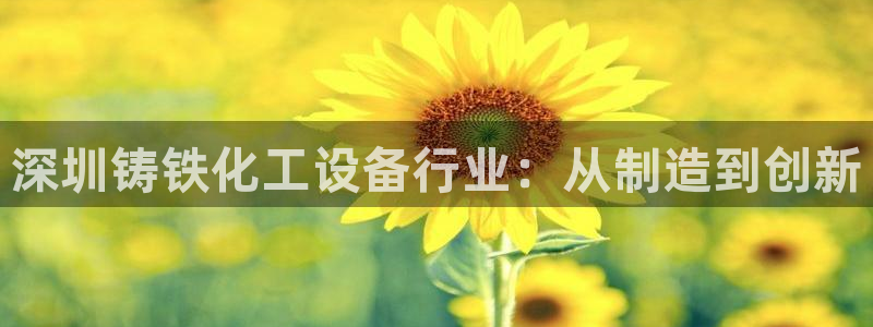 天辰平台挂机