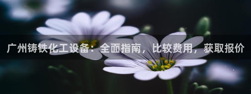天辰娱乐平台账号注册地址是多少