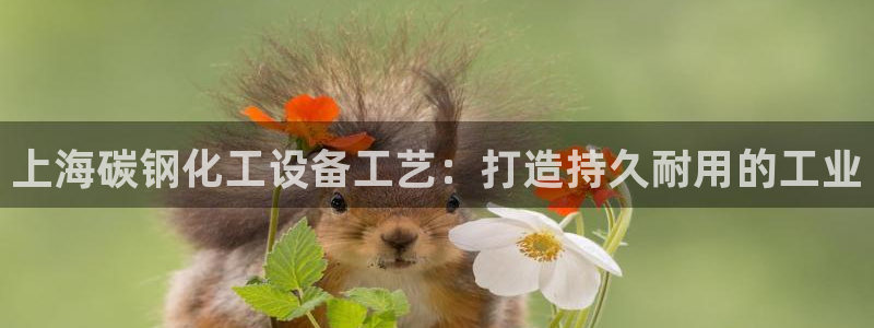 天辰网怎么样