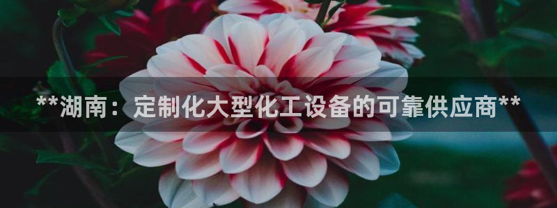 天辰娱乐的老板是谁