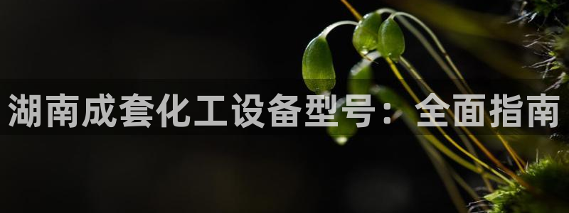 天辰娱乐百度百科官网
