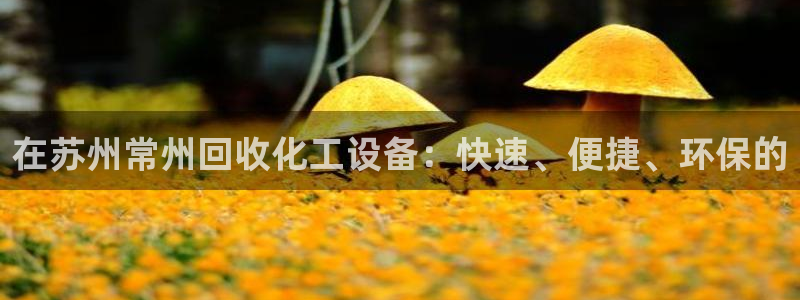 天辰平台直属授权注册点1i