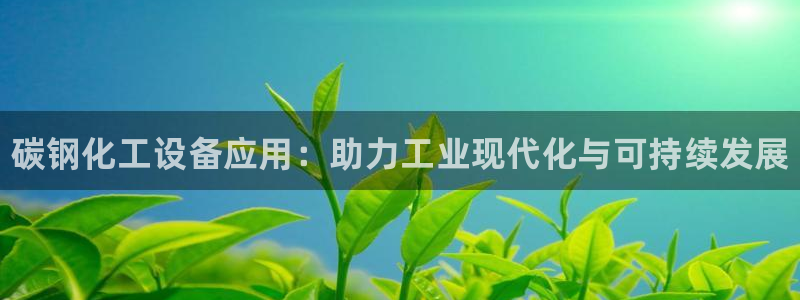 天辰平台想加 585.34I 天辰：碳钢化工设备应