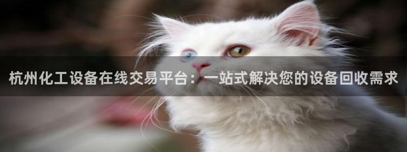 天辰平台注册地址怎么填不了：杭州化工设备在线交易平