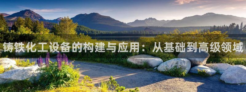 天辰娱乐代理注册平台登录系统错误：铸铁化工设备的构建与应用：