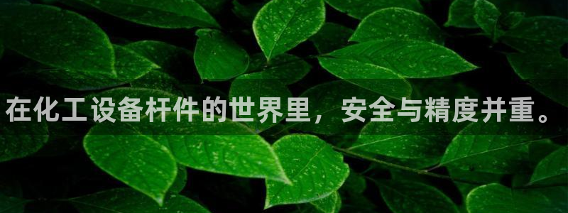 天辰平台陪 37oo735：在化工设备杆件的世界里