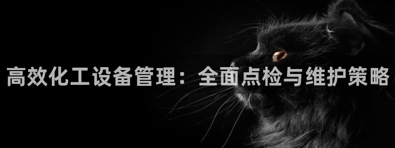 天辰app官方版下载：高效化工设备管理：全面点检与维护策略