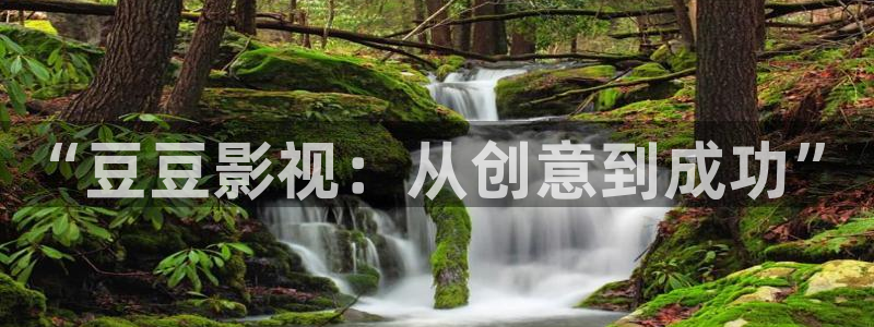 山外人精品影院在线观看：“豆豆影视：从创意到成功”