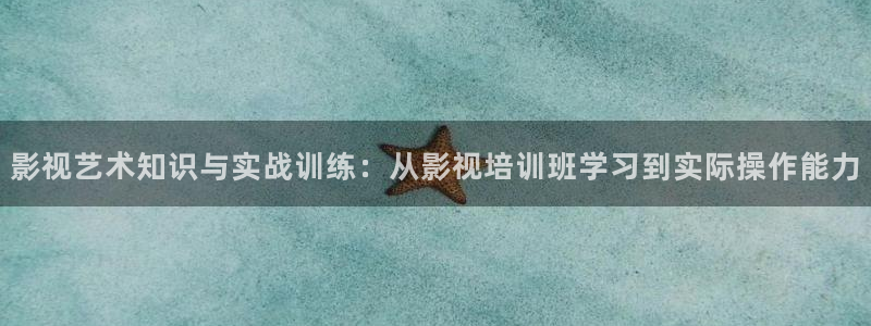山外人精品影院 6 在线观看：影视艺术知识与实战训练：从影视培训班学习到实际操作能力
