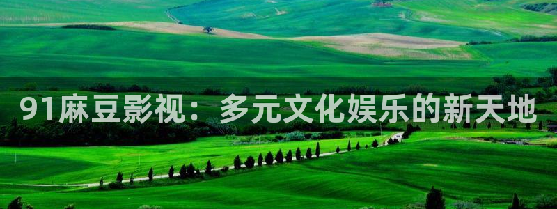 山外人精品影院在线观看：91麻豆影视：多元文化娱乐的新天地