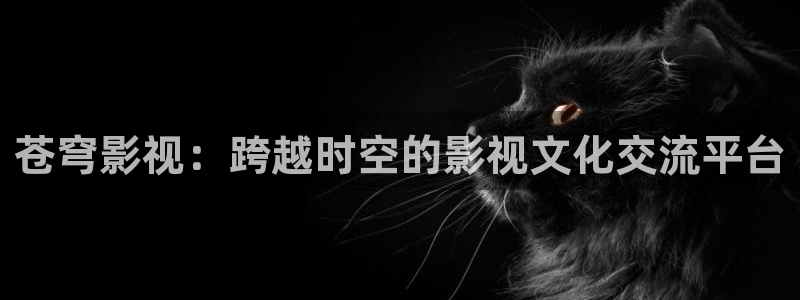 山外人精品影院洋洋av：苍穹影视：跨越时空的影视文化交流平台