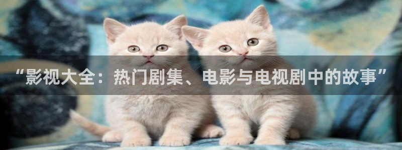 山外人精品影院在线：“影视大全：热门剧集、电影与电视剧中的故事”